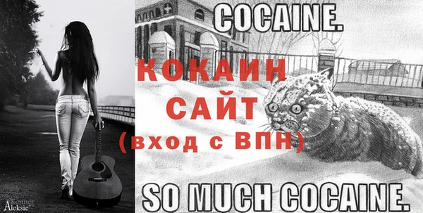ПСИЛОЦИБИНОВЫЕ ГРИБЫ Богородицк