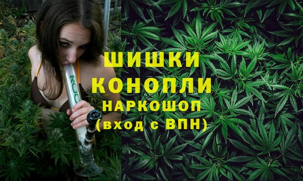 спайс Богородск