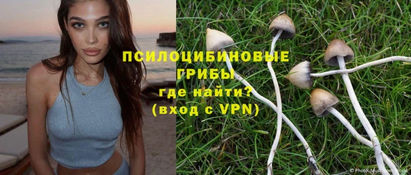 MESCALINE Белокуриха