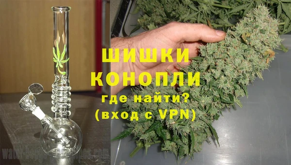 MESCALINE Белокуриха