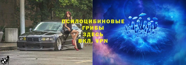 спайс Богородск